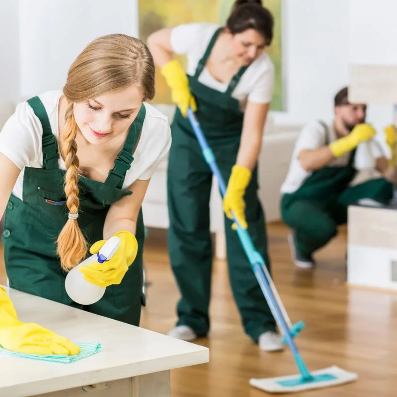 professional cleaners melbourne